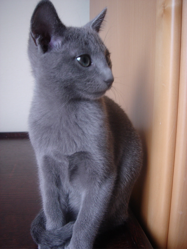 DSC02449.JPG