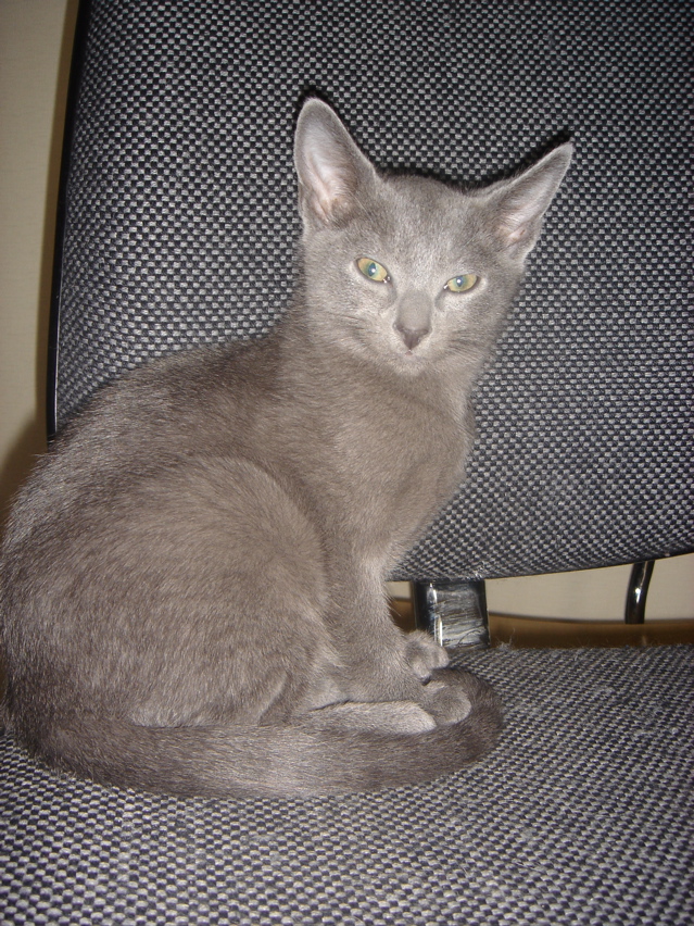 DSC02405.JPG