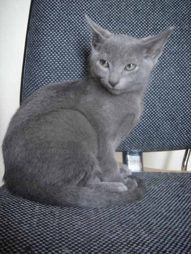 DSC02406.JPG