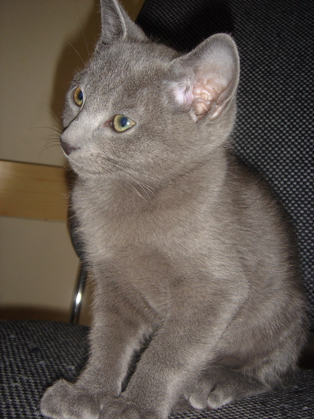DSC02429.JPG