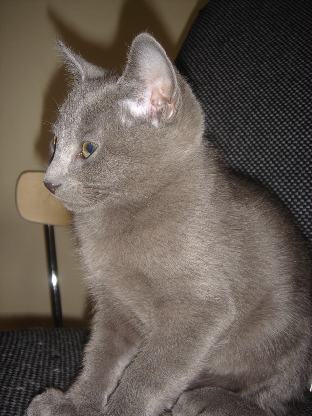 DSC02428.JPG
