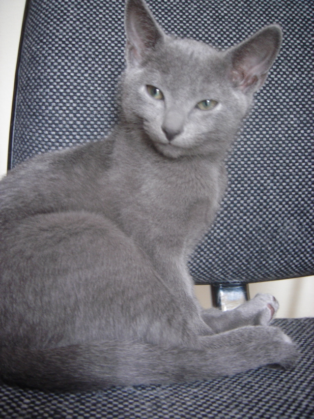 DSC02409.JPG