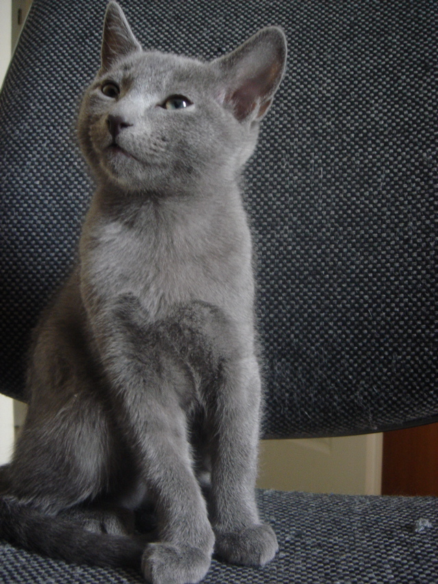 DSC02422.JPG