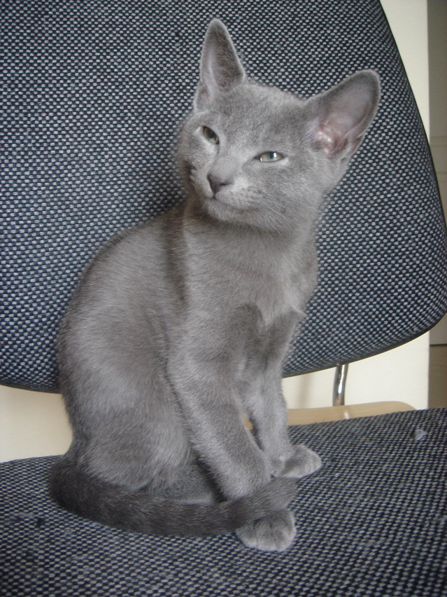 DSC02412.JPG
