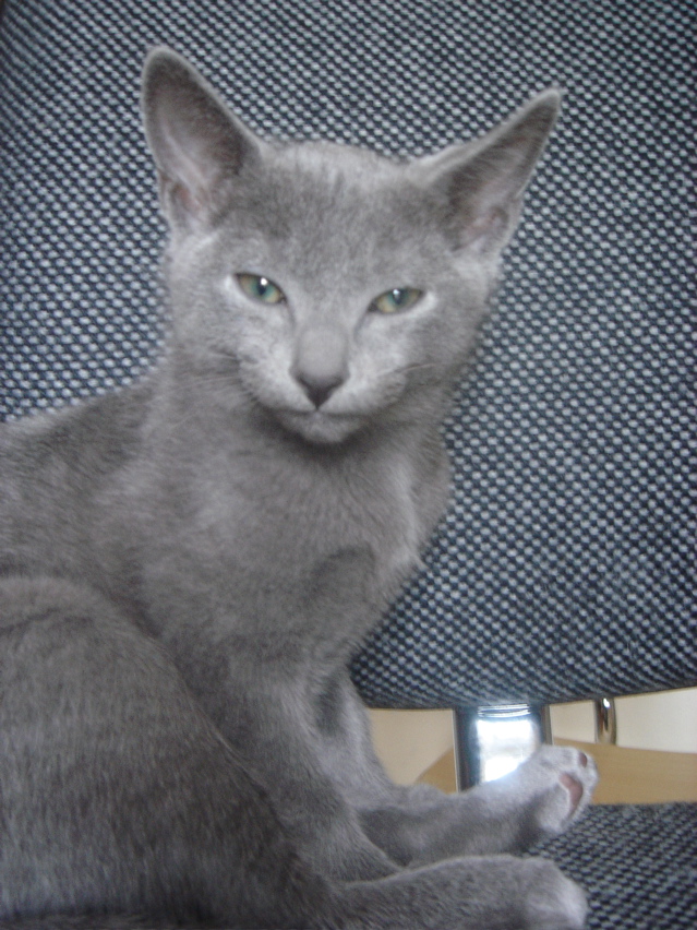 DSC02410.JPG