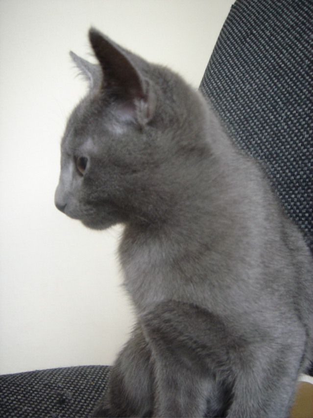 DSC02425.JPG