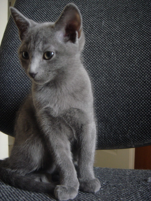 DSC02423.JPG