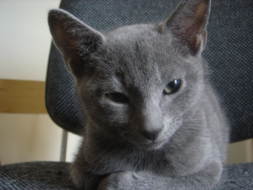 DSC02434.JPG