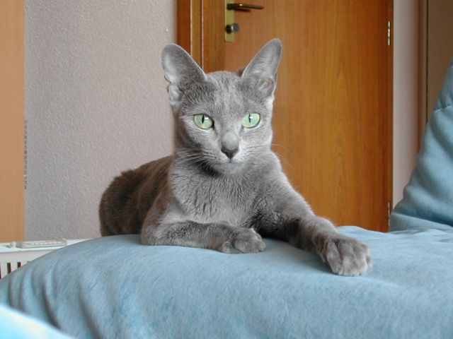 DSCN2858