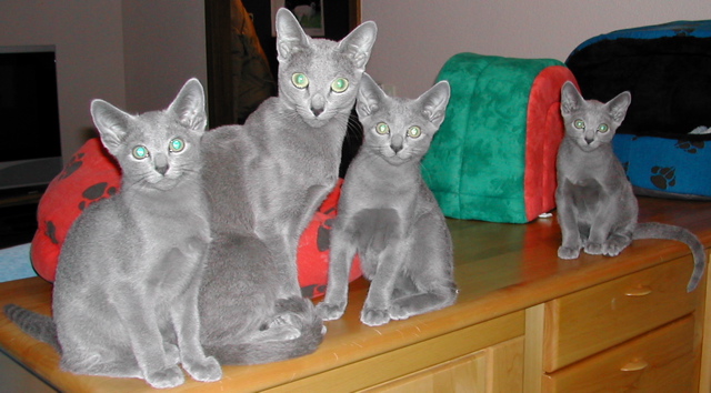 DSCN3567.JPG