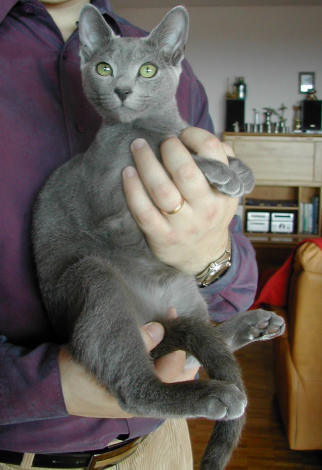 DSCN3913.JPG