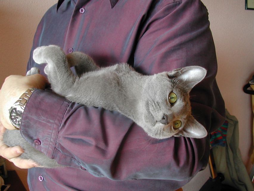 DSCN3917.JPG