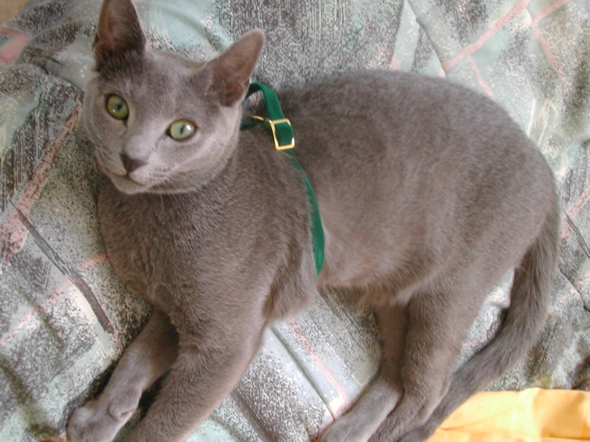 DSCN3946.JPG