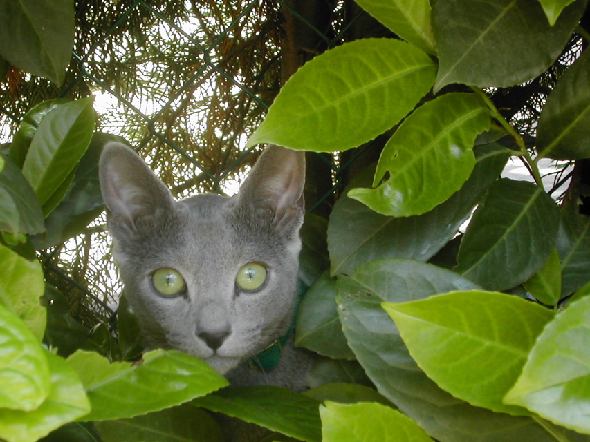 DSCN3957.JPG