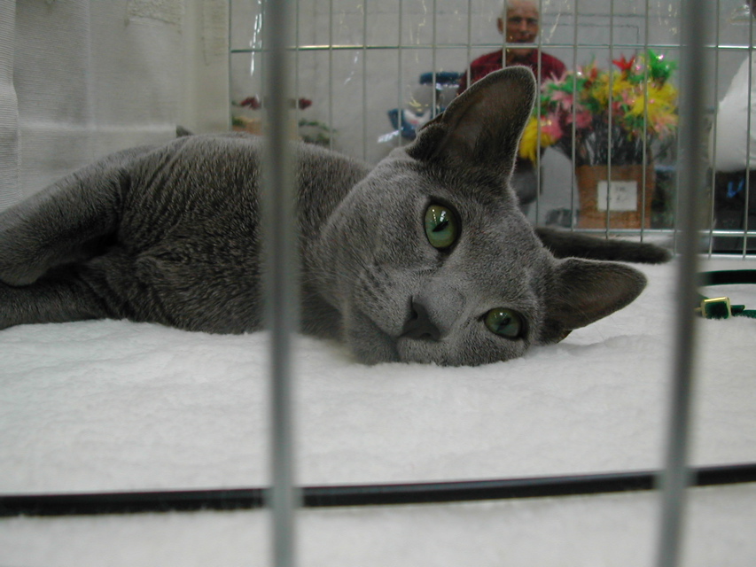 DSCN4111.JPG