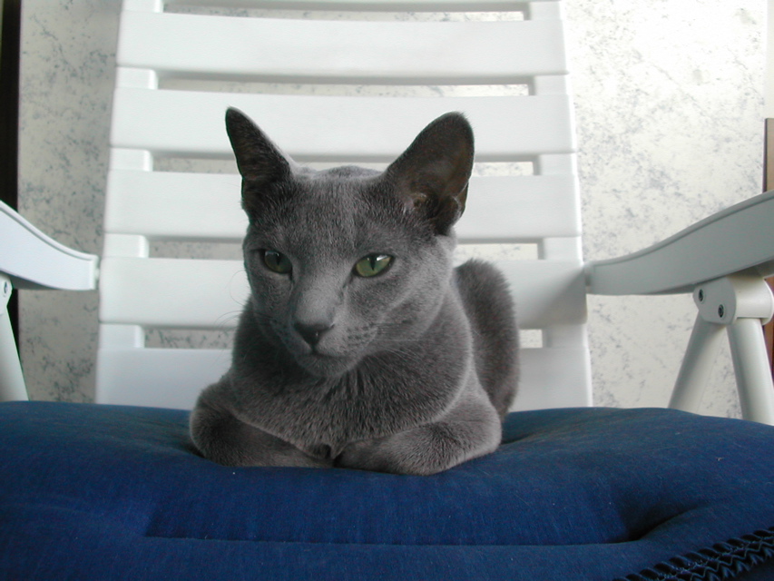 DSCN4137.JPG