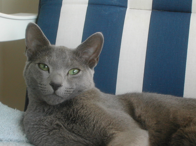 DSCN4208.JPG