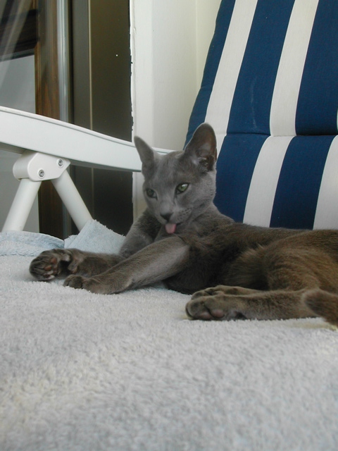 DSCN4223.JPG