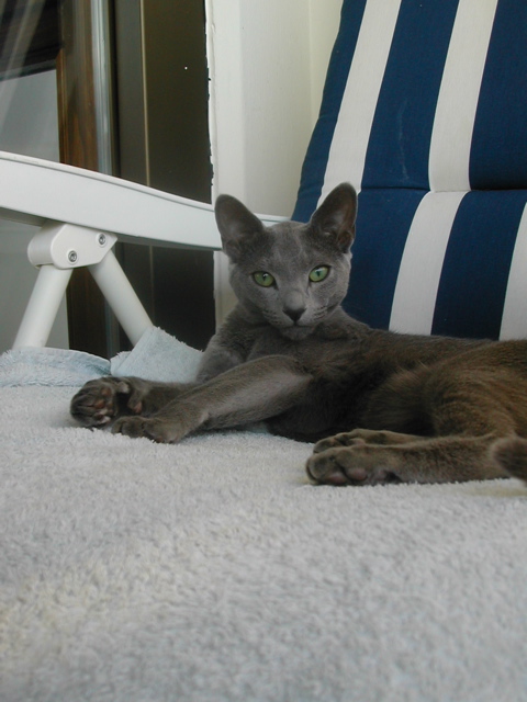 DSCN4224.JPG