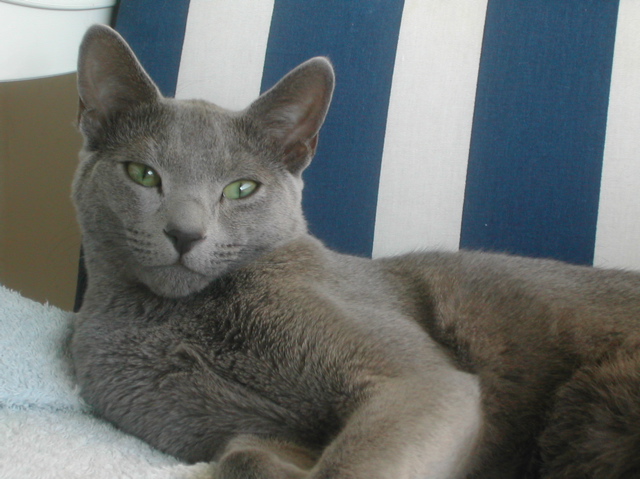 DSCN4209.JPG