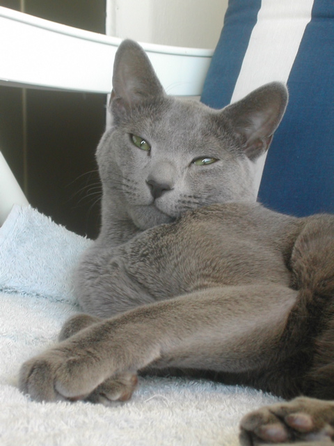 DSCN4210.JPG