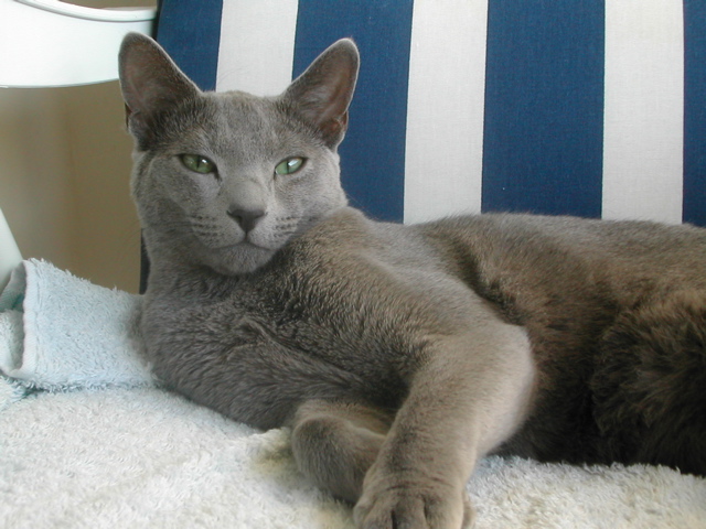 DSCN4215.JPG