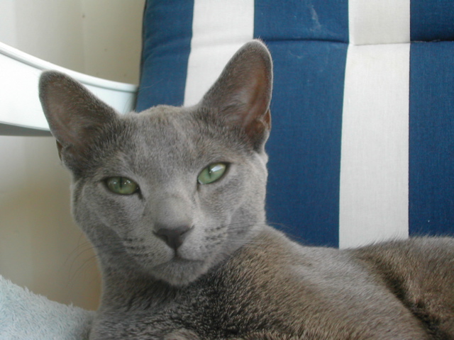 DSCN4218.JPG