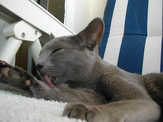 DSCN4222.JPG