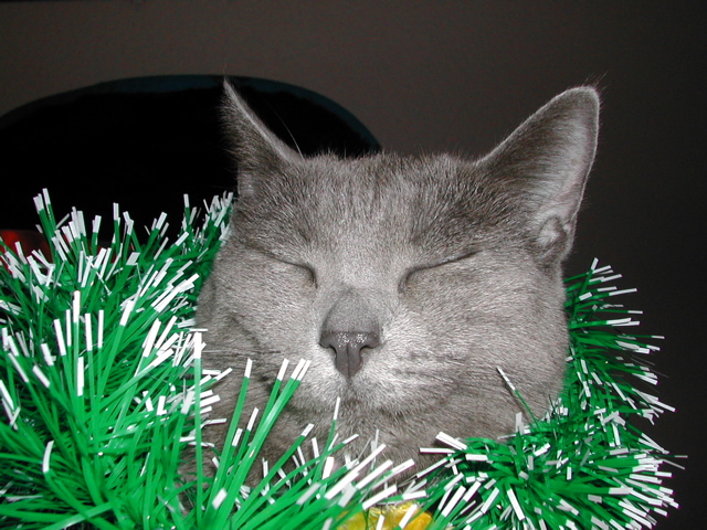 DSCN3626.JPG