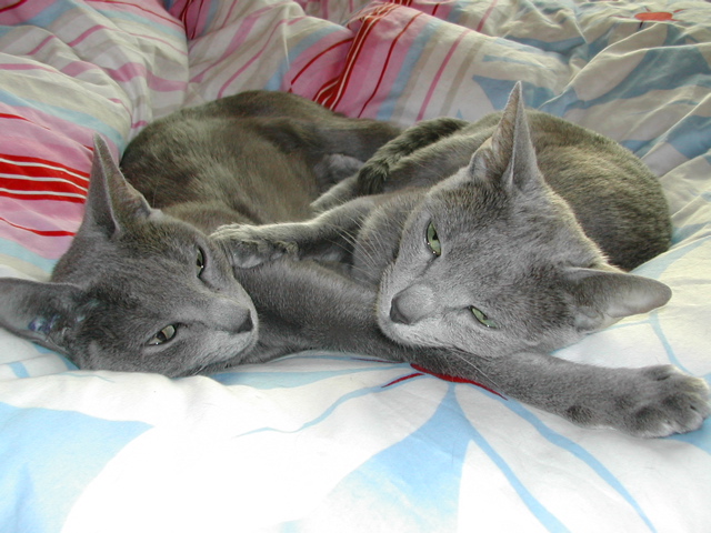 DSCN3815.JPG