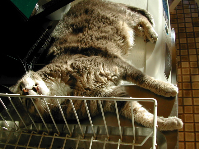 DSCN3612.JPG