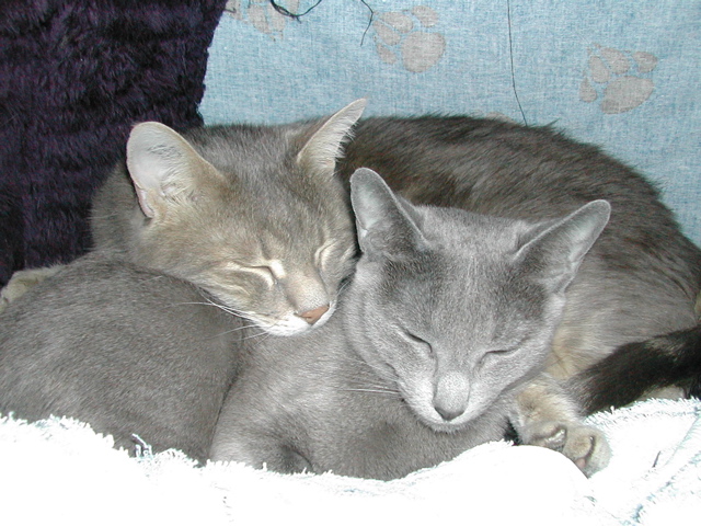 DSCN3782.JPG